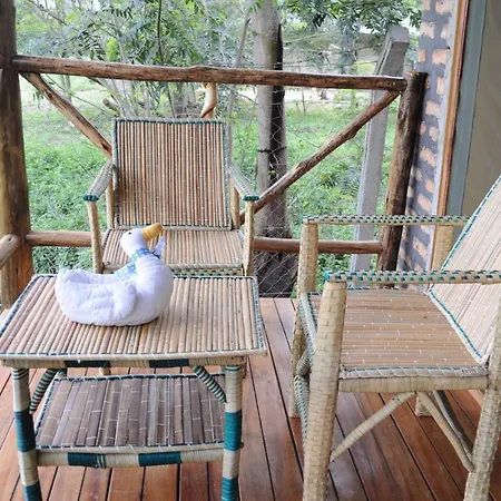 Irungu Forest Safari Lodge Katunguru Exterior photo