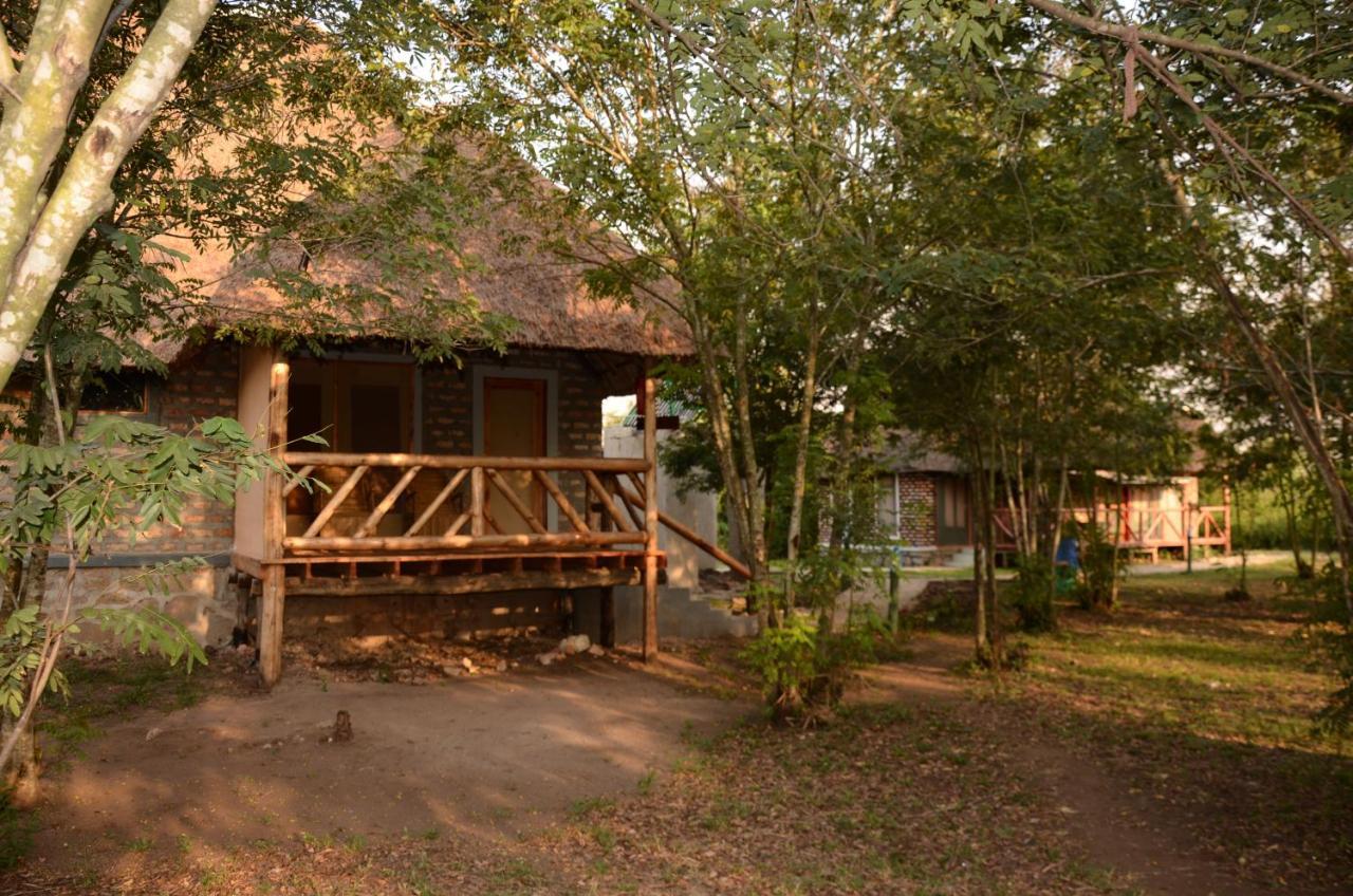 Irungu Forest Safari Katunguru