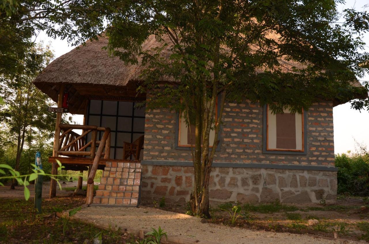 Lodge Irungu Forest Safari
