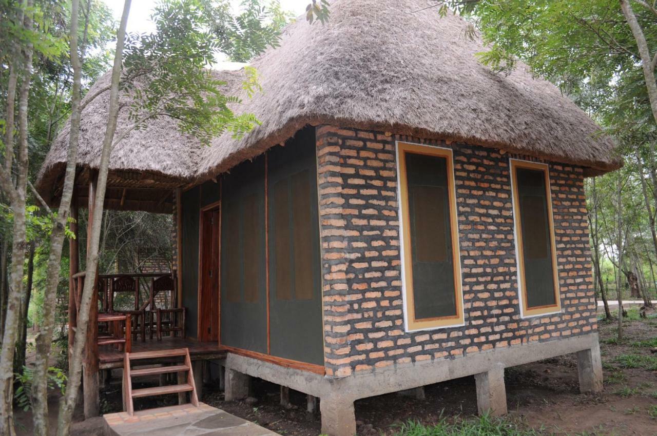 Irungu Forest Safari Lodge *
