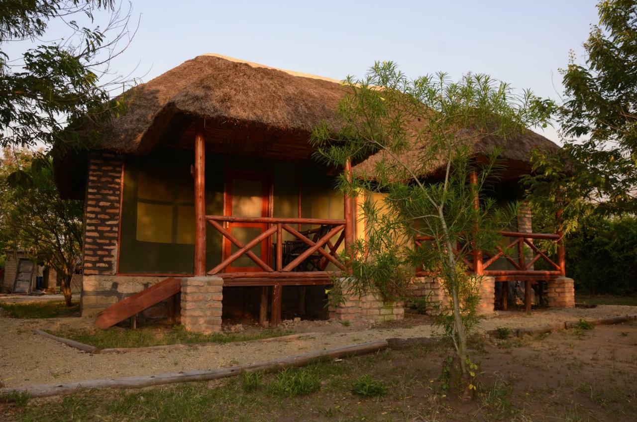 Irungu Forest Safari Lodge