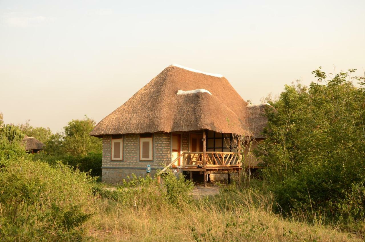 Irungu Forest Safari