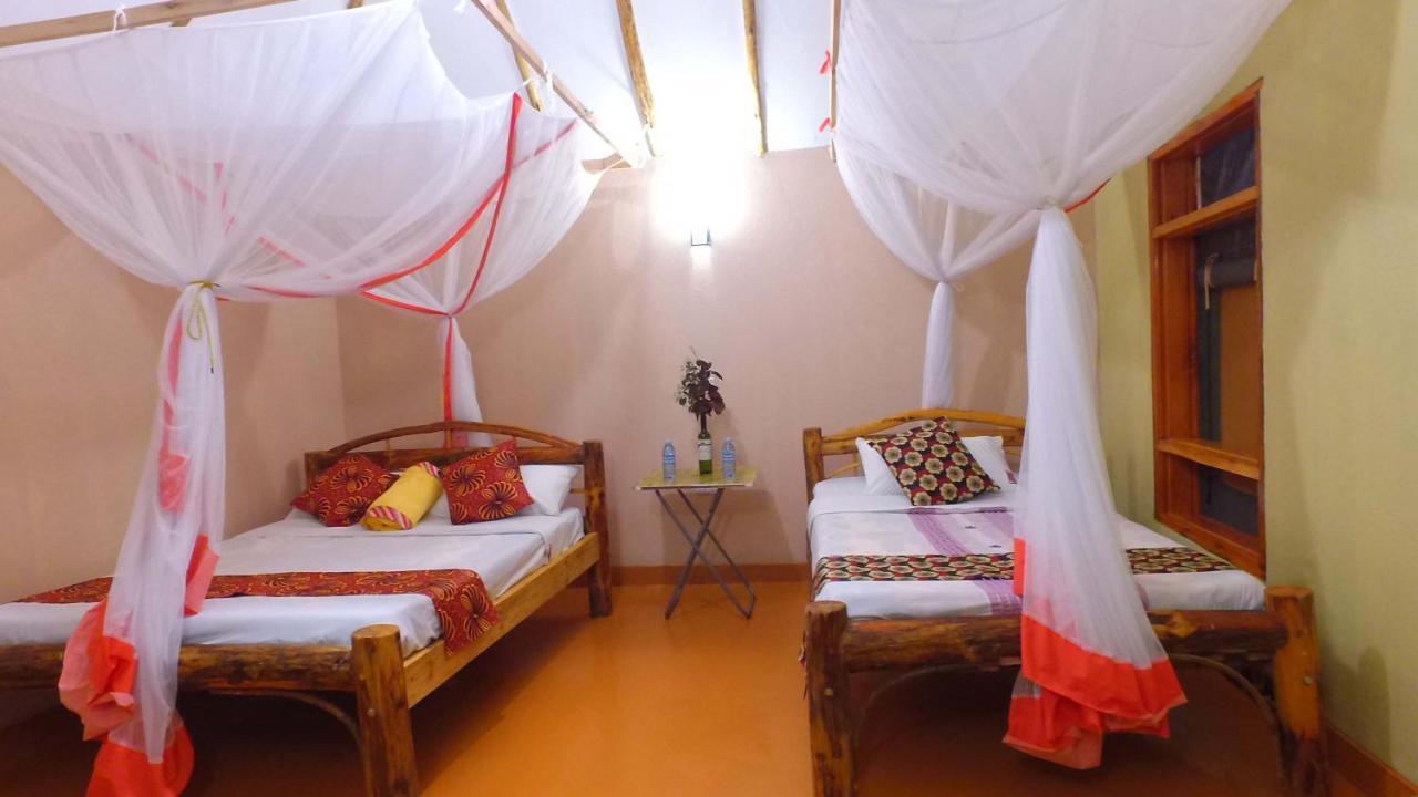 Lodge Irungu Forest Safari