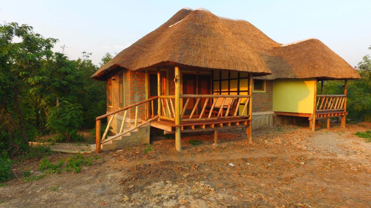 Lodge Irungu Forest Safari