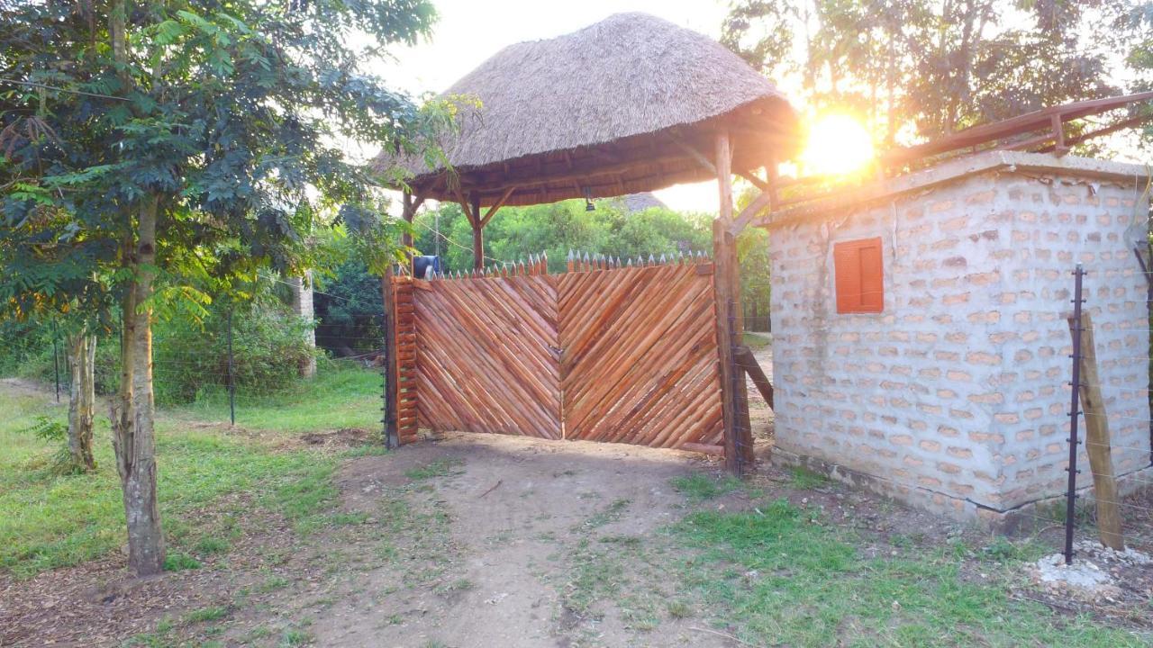 Lodge Irungu Forest Safari *